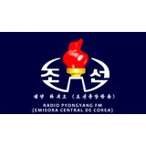 Pyongyang Radio FM logo