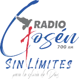 RD 700am Radio Gosen logo