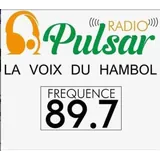 Radio Pulsar Katiola logo